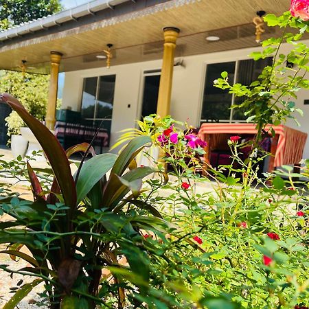 Cinnamon Homestay Ella Kültér fotó