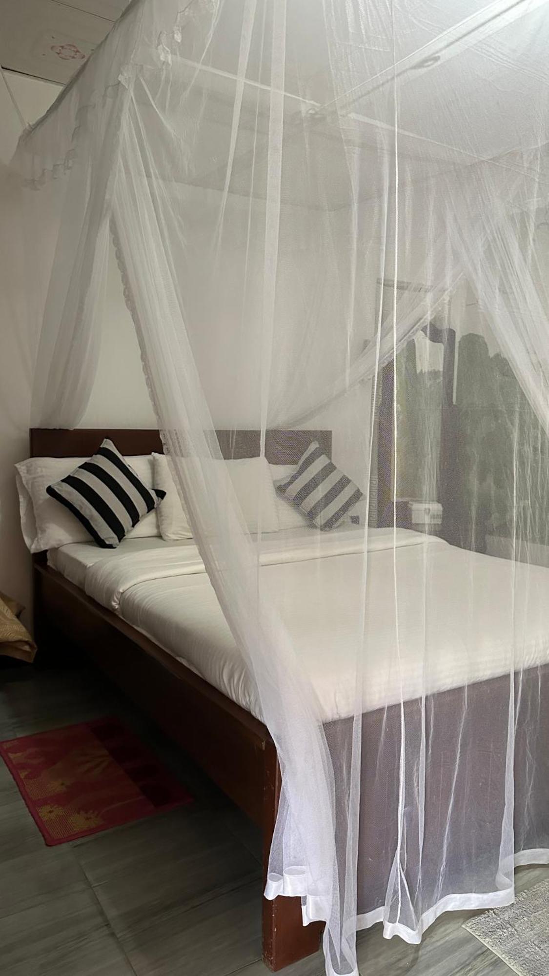 Cinnamon Homestay Ella Kültér fotó
