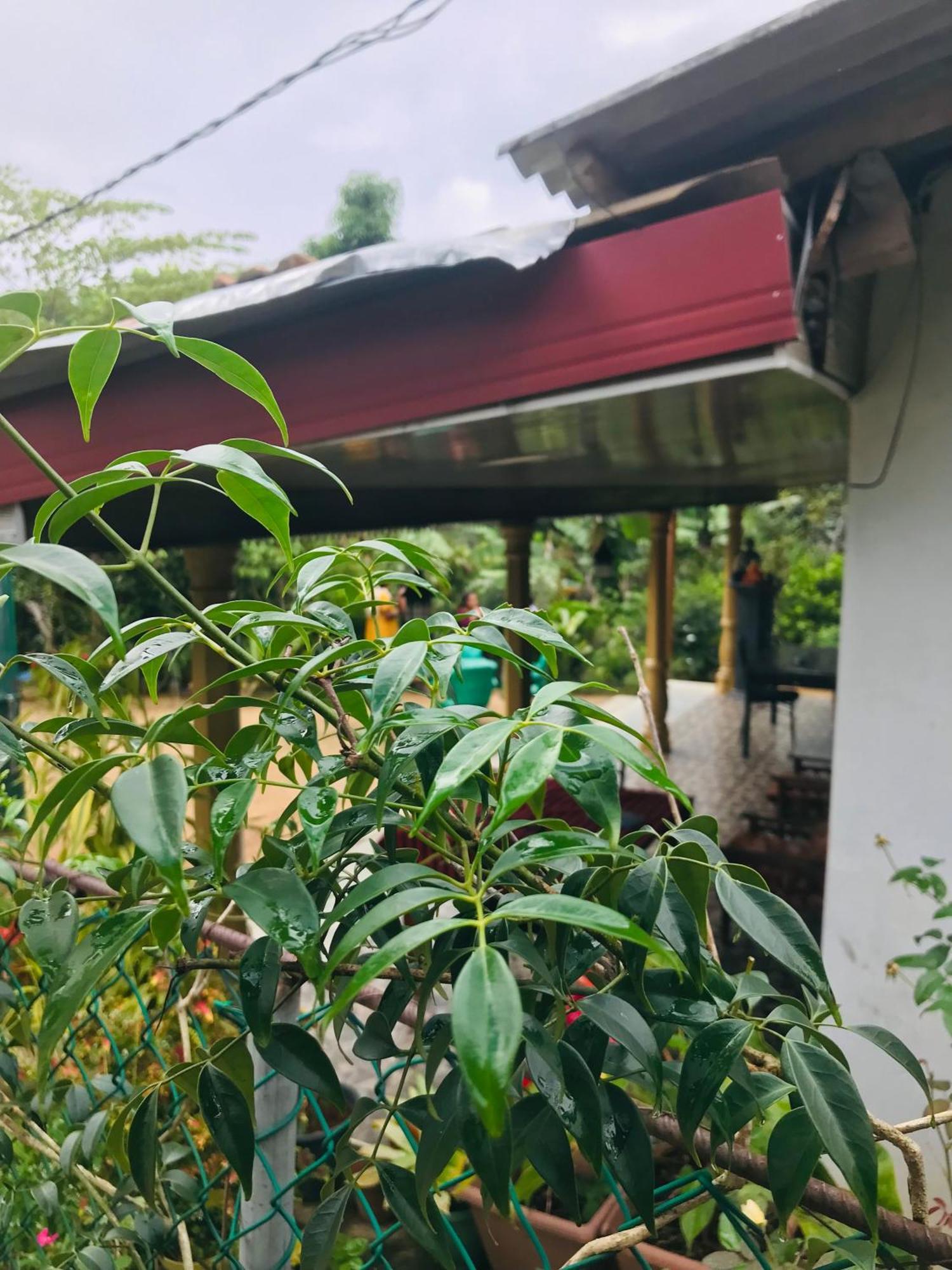 Cinnamon Homestay Ella Kültér fotó