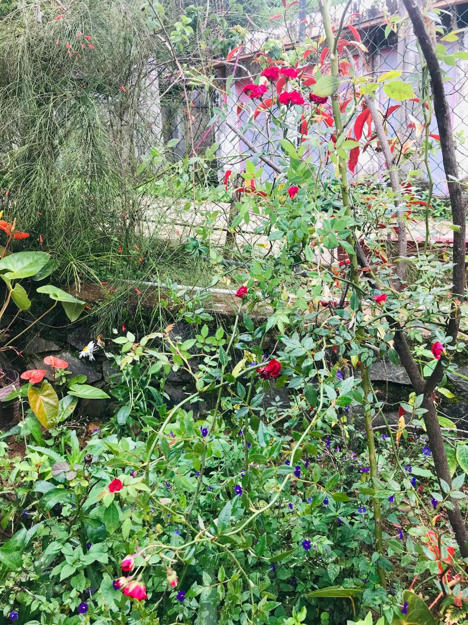 Cinnamon Homestay Ella Kültér fotó