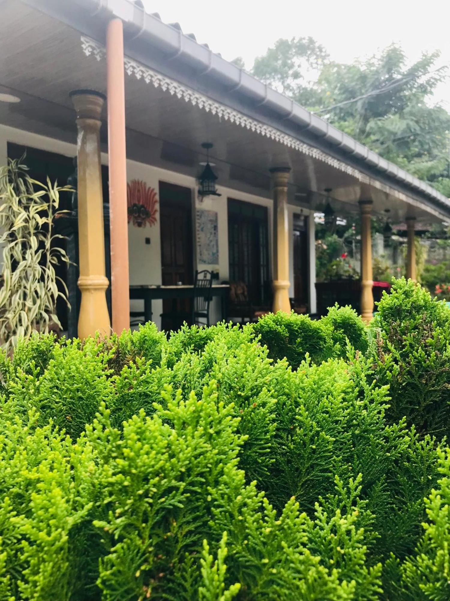 Cinnamon Homestay Ella Kültér fotó