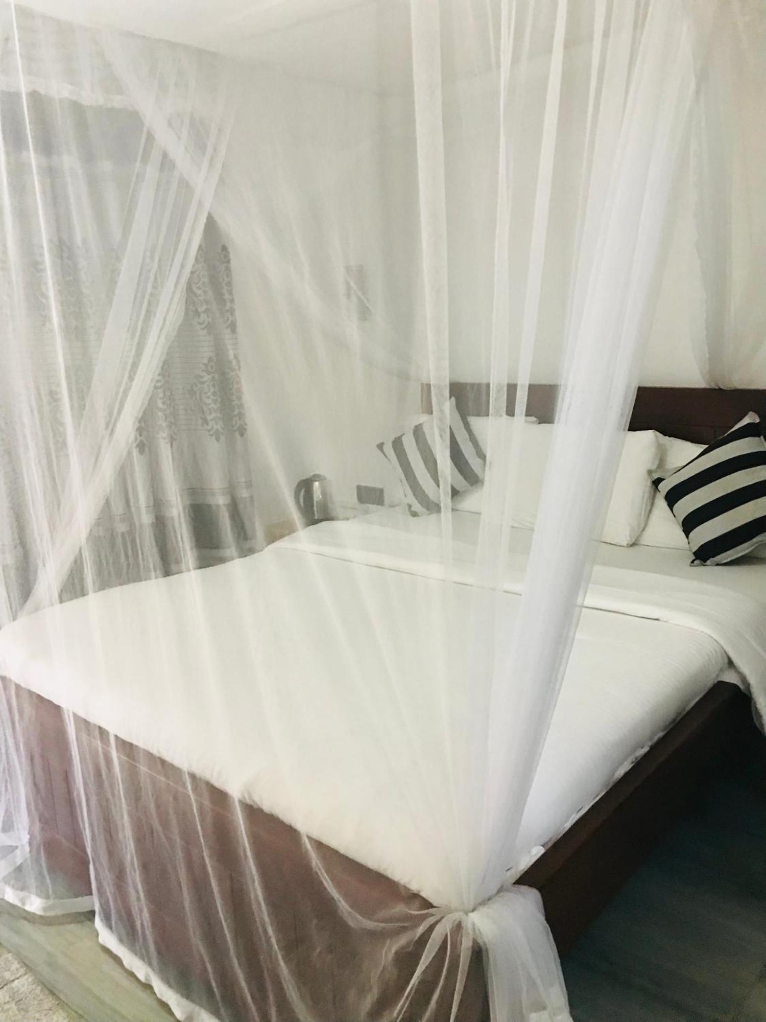 Cinnamon Homestay Ella Kültér fotó