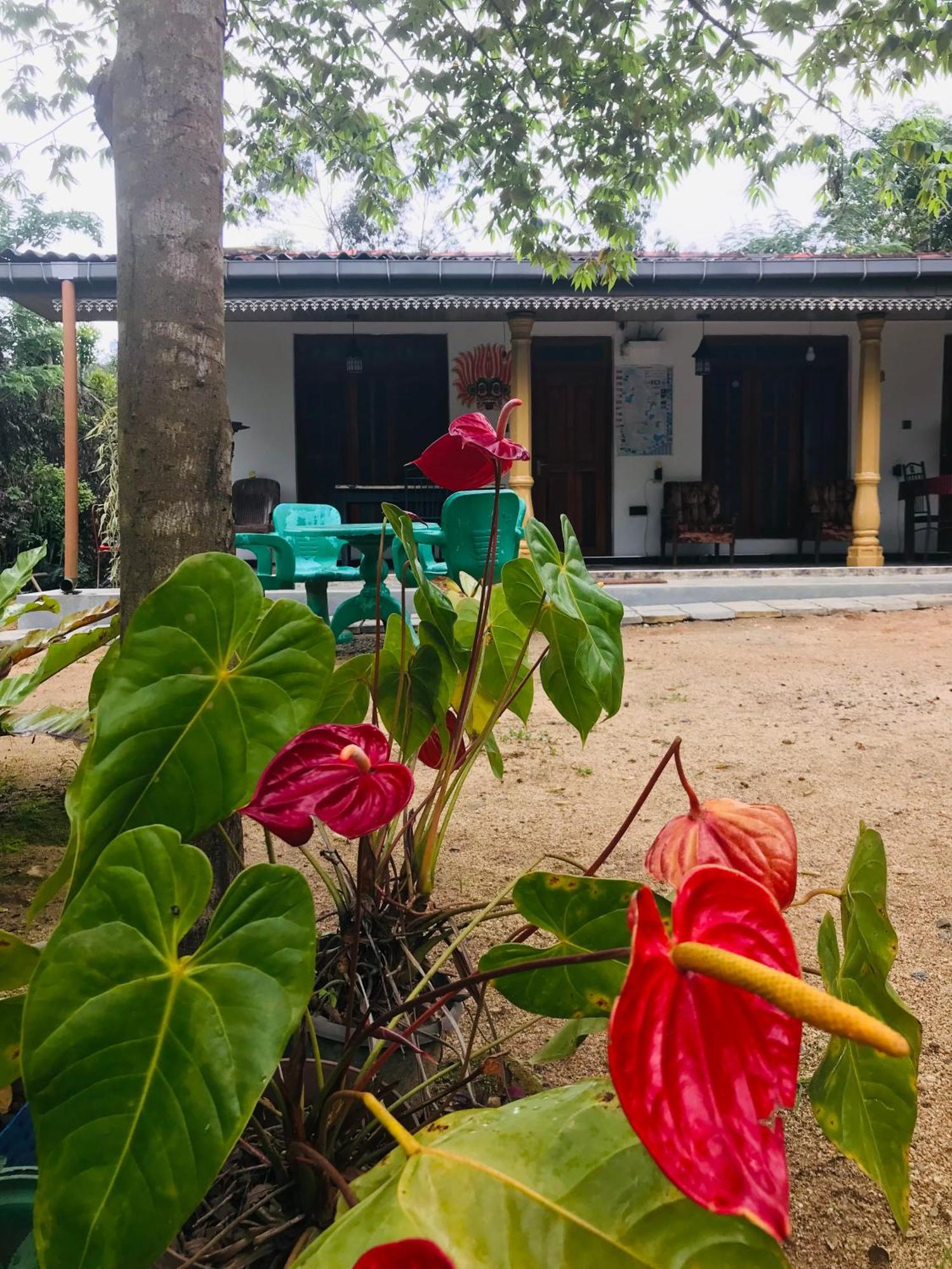 Cinnamon Homestay Ella Kültér fotó
