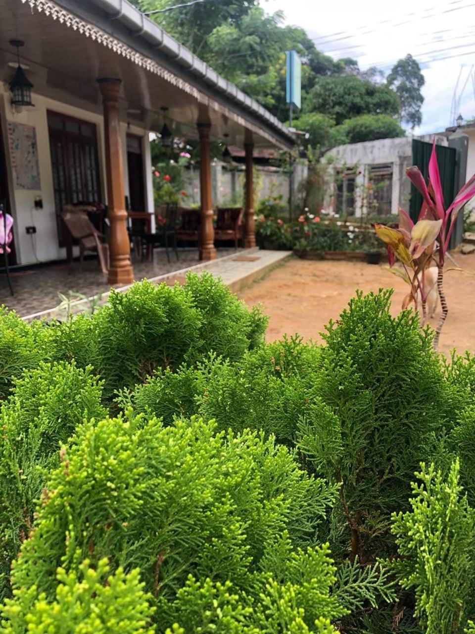 Cinnamon Homestay Ella Kültér fotó