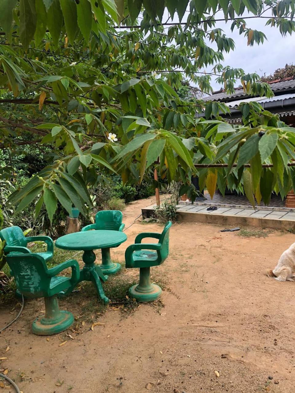 Cinnamon Homestay Ella Kültér fotó