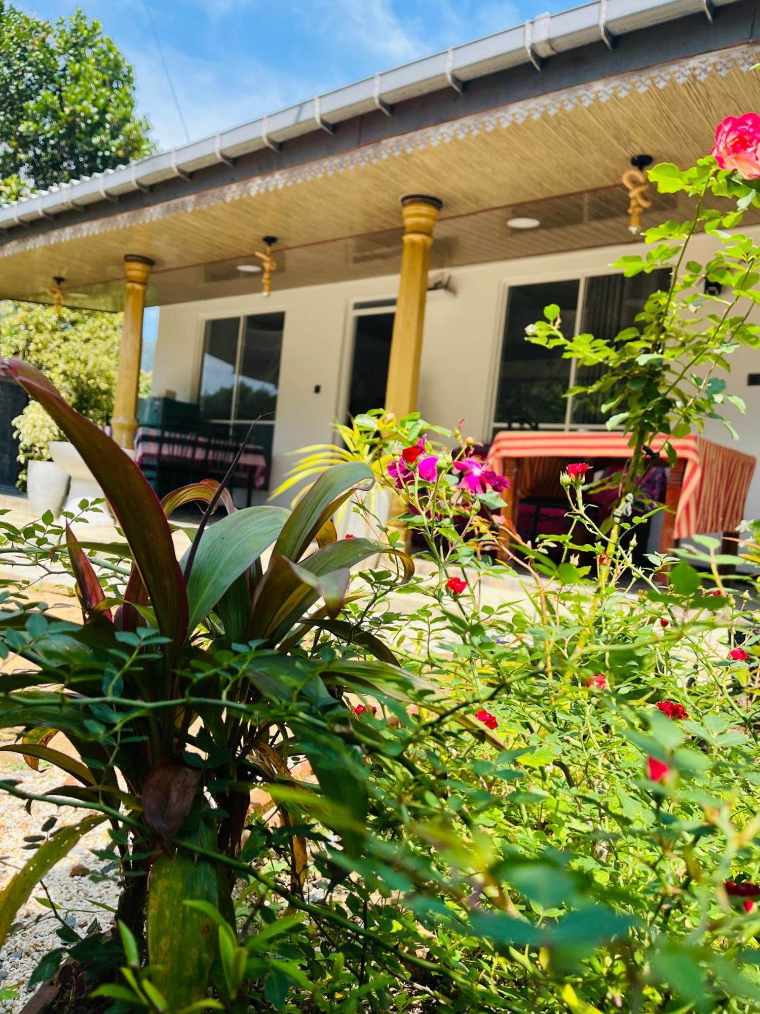 Cinnamon Homestay Ella Kültér fotó