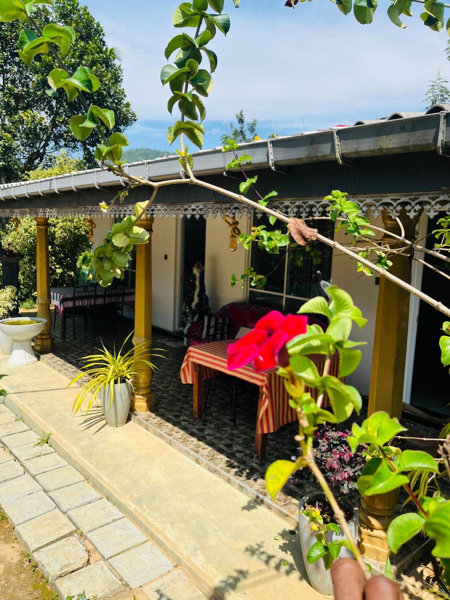 Cinnamon Homestay Ella Kültér fotó