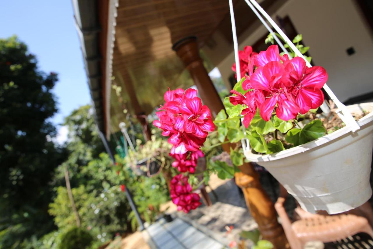 Cinnamon Homestay Ella Kültér fotó